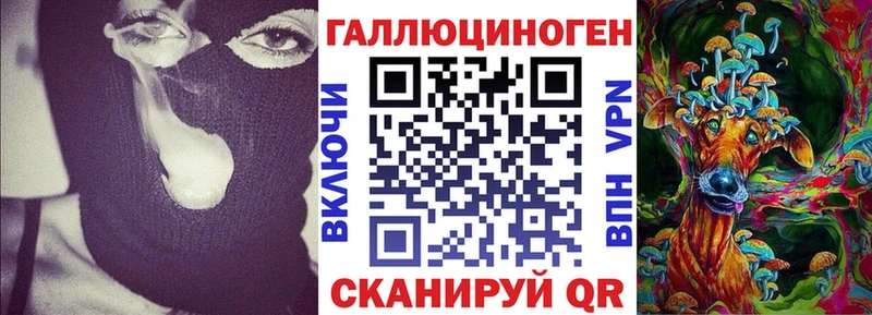 Псилоцибиновые грибы GOLDEN TEACHER  Зея 